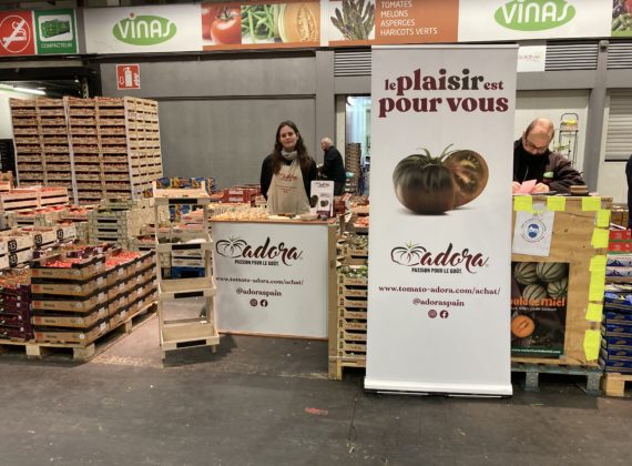 On se lève très tôt pour les tomates Adora !